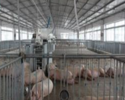 飼養廠汙水超污91视频