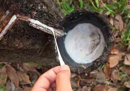 天然橡膠超污91视频